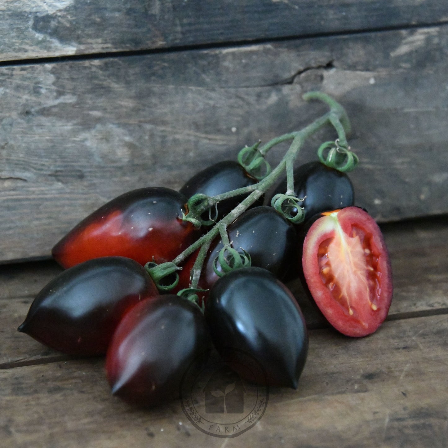 Tomato 'Midnight Roma'