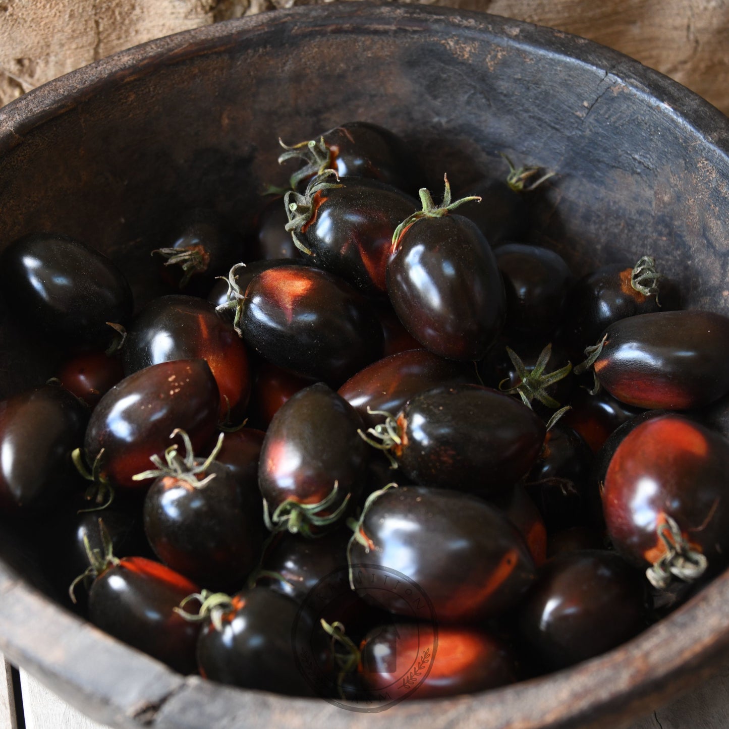 Tomato 'Midnight Roma'