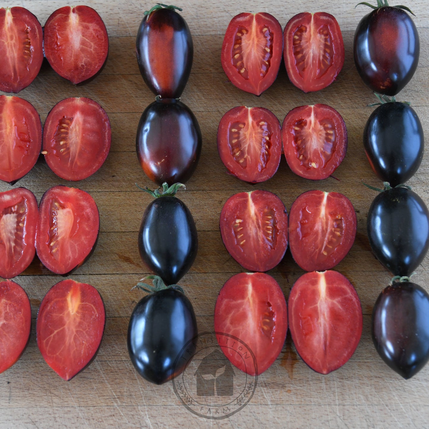 Tomato 'Midnight Roma'