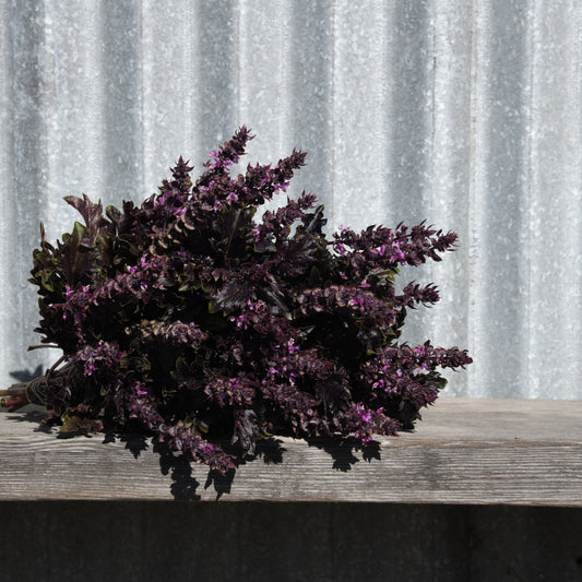 Purple flowering plant on a wooden surface with a corrugated metal background