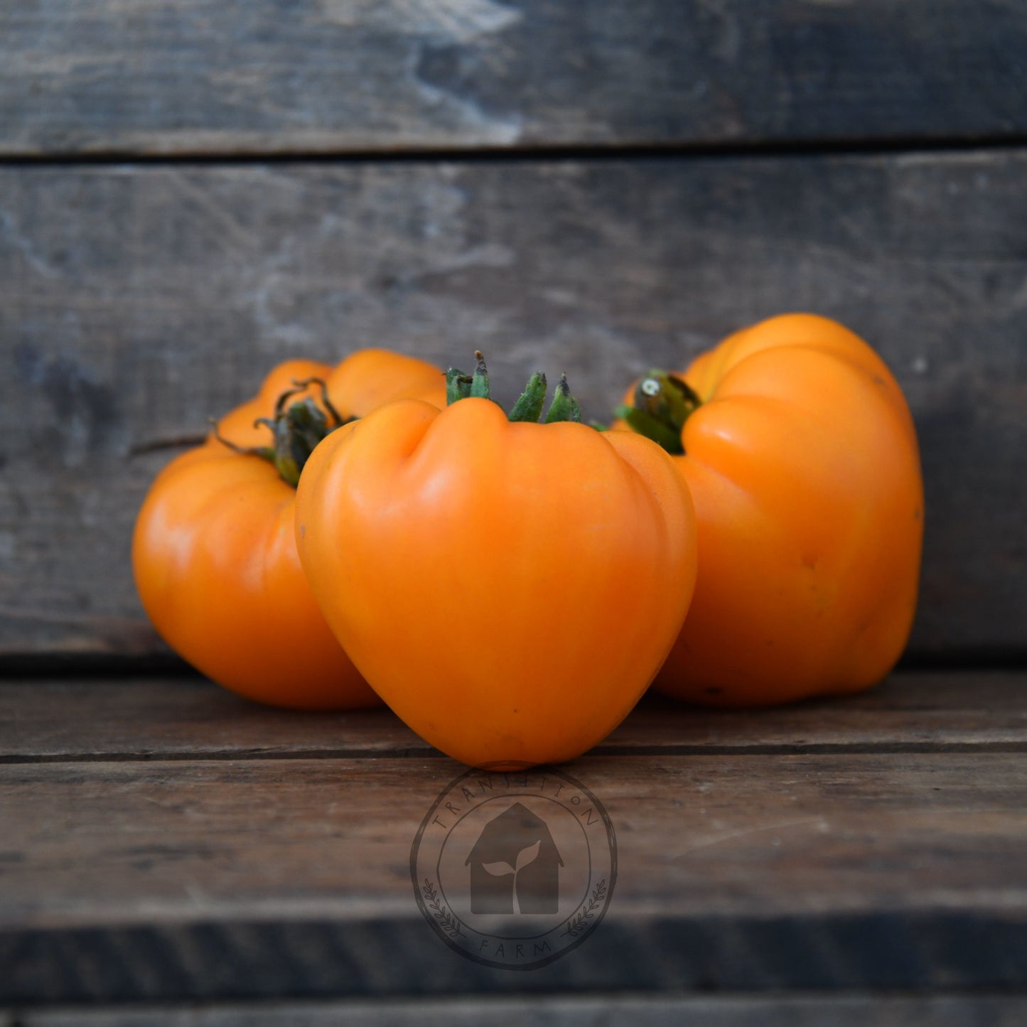 Tomato 'Orange Strawberry'