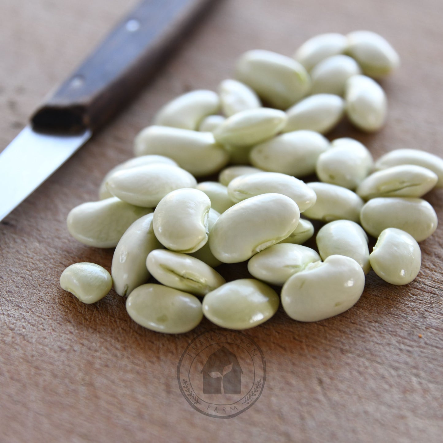 Bean - Butter 'Pappaluni'