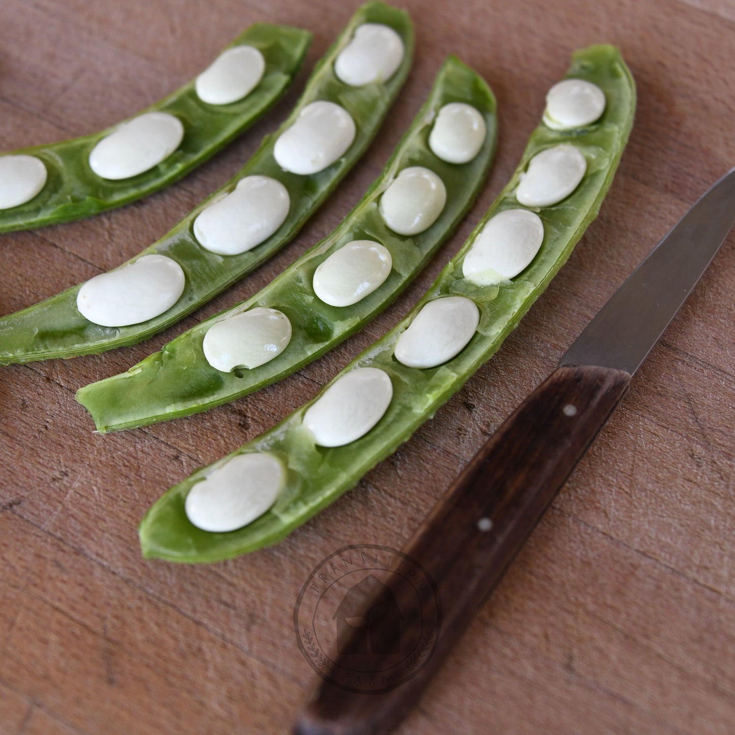 Bean - Butter 'Pappaluni'