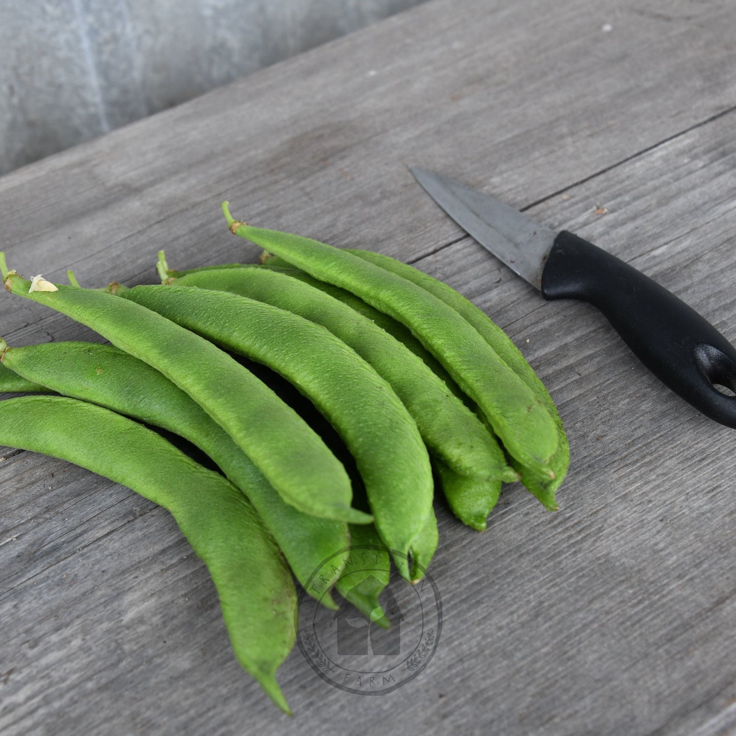 Bean - Butter 'Pappaluni'