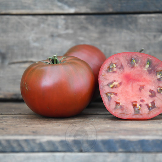 Tomato 'Paul Robeson'