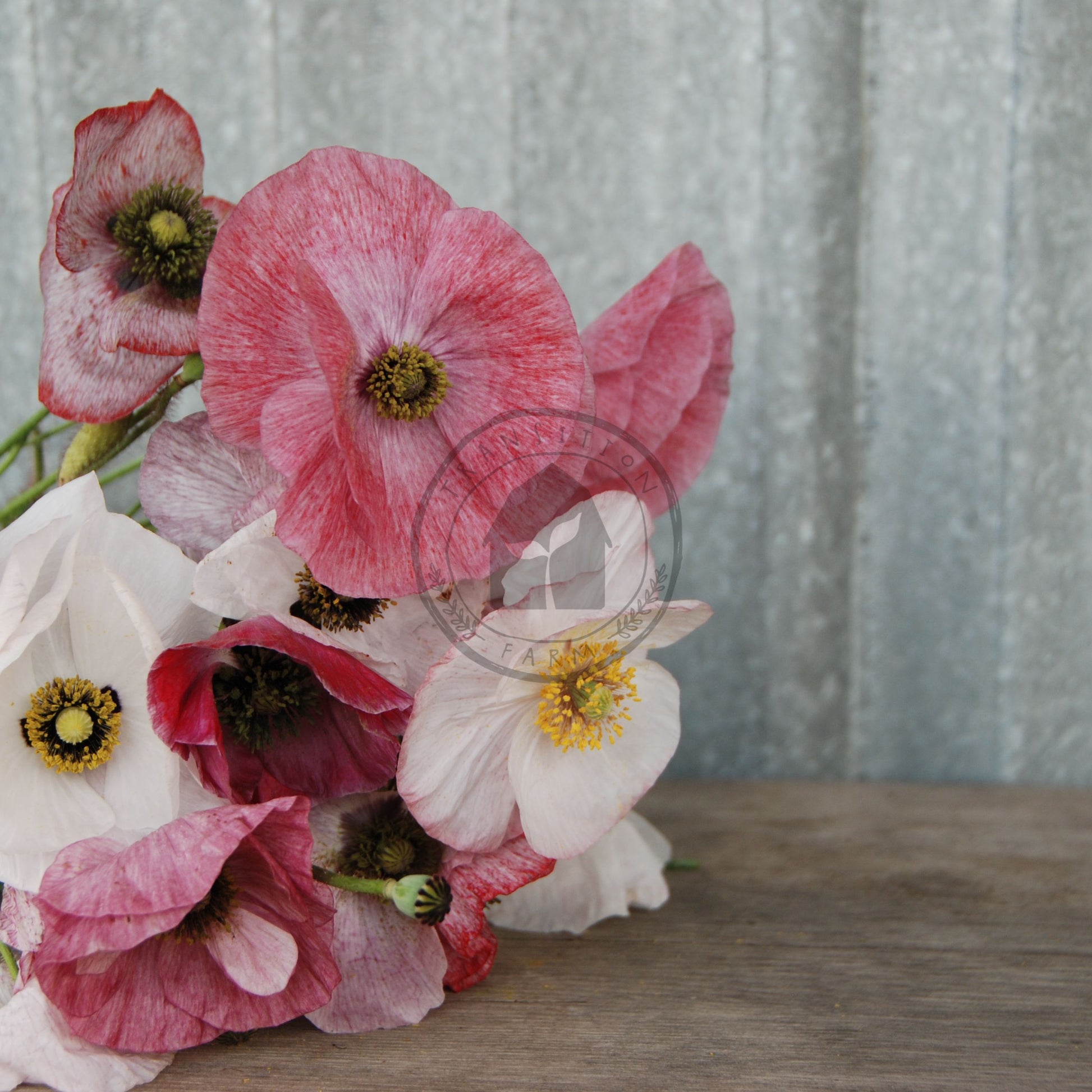 Bouquet of pink and white flowers on a wooden surface with a blurred background