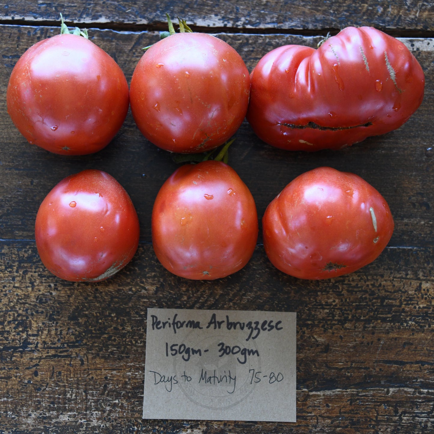 Tomato 'Periforme Abruzzese'