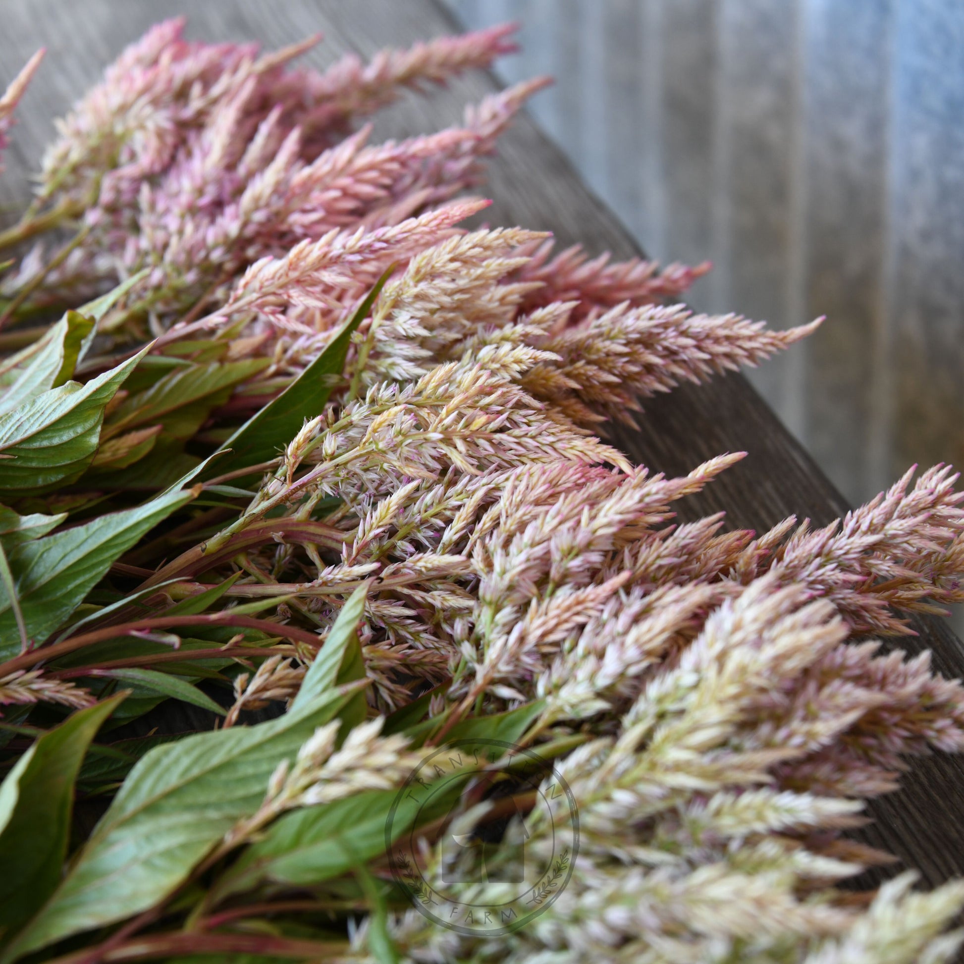 Bouquet of pink and green flowers on a wooden surface with a rustic metal background
