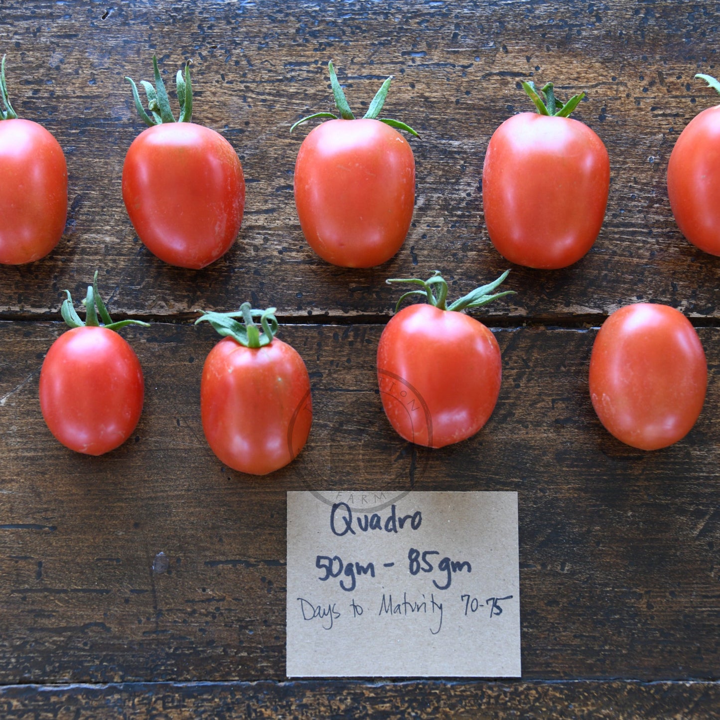 quadro tomatoes arranged on wood surface with weight label