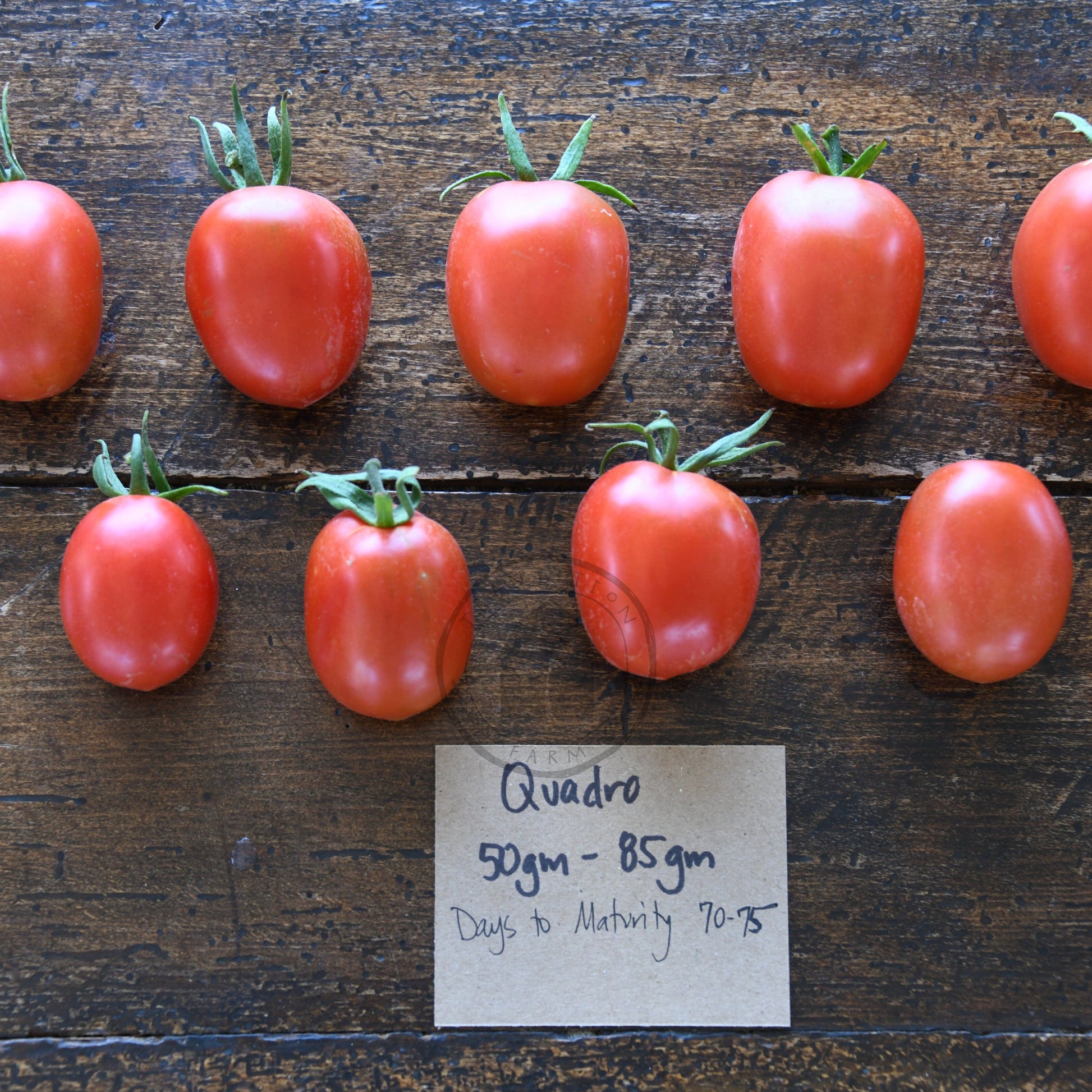 quadro tomatoes arranged on wood surface with weight label