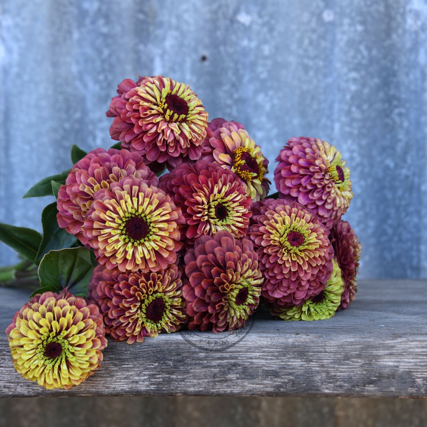 Bouquet of pink and yellow flowers on a wooden surface with a corrugated metal background