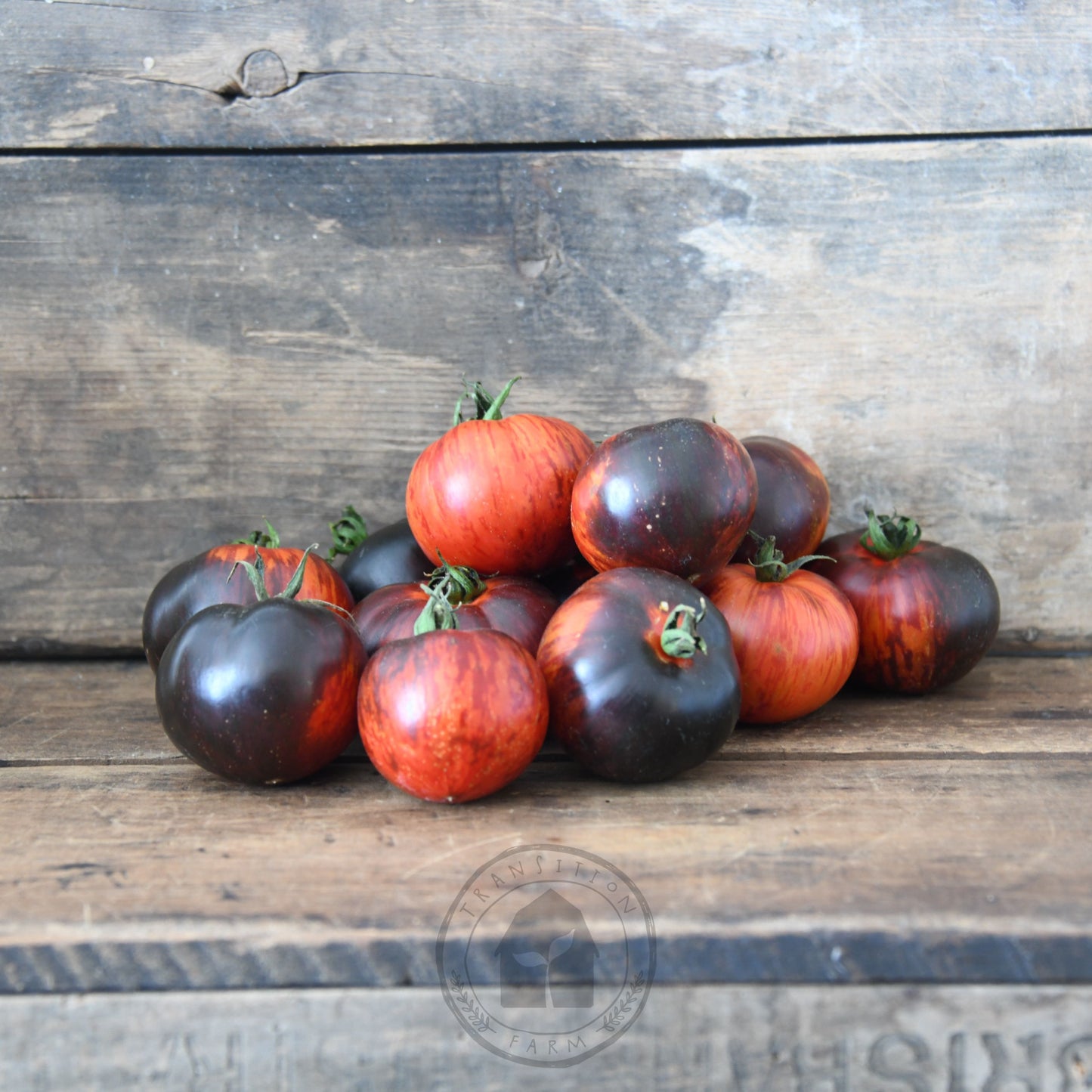 Tomato 'Queen of the Night'