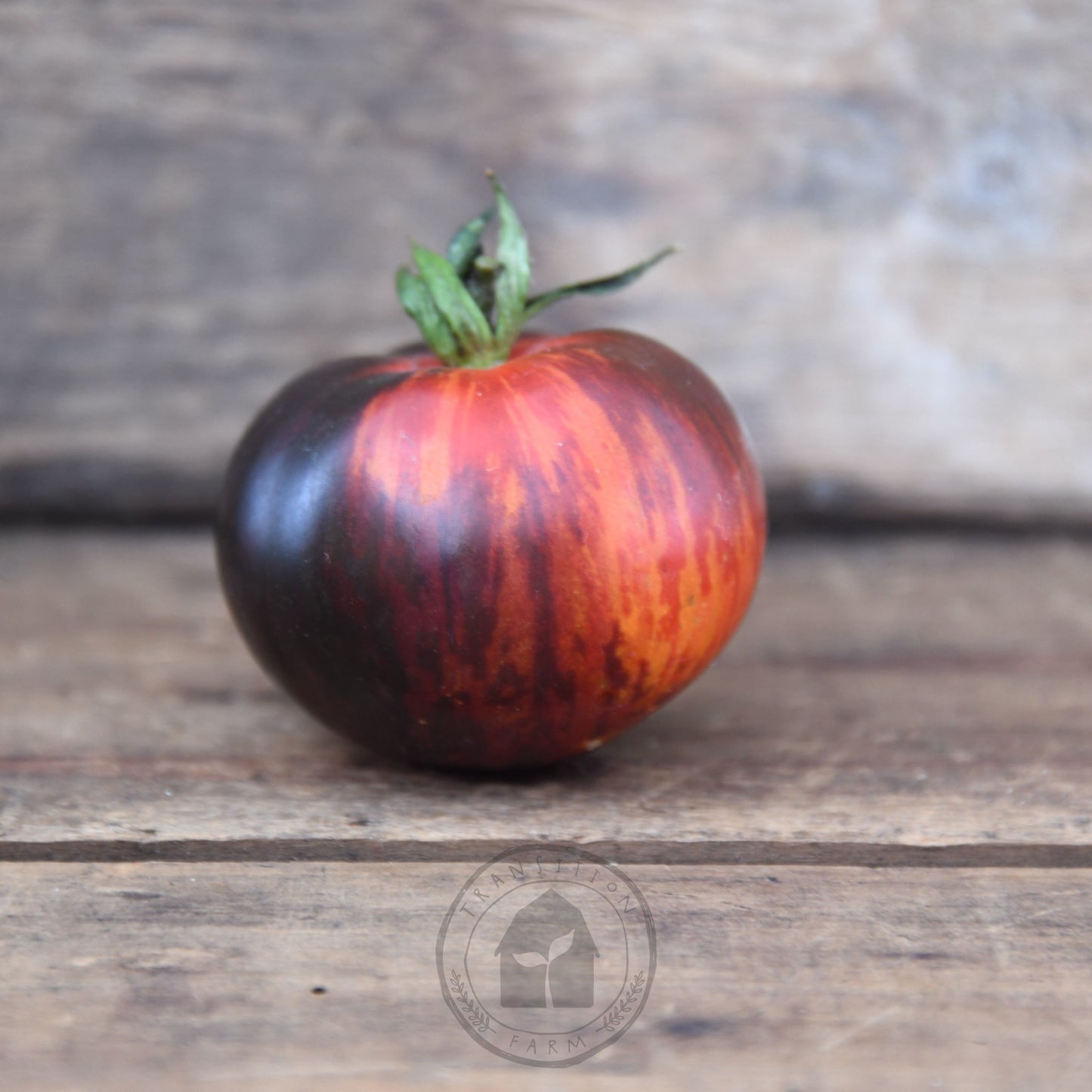 Tomato 'Queen of the Night'