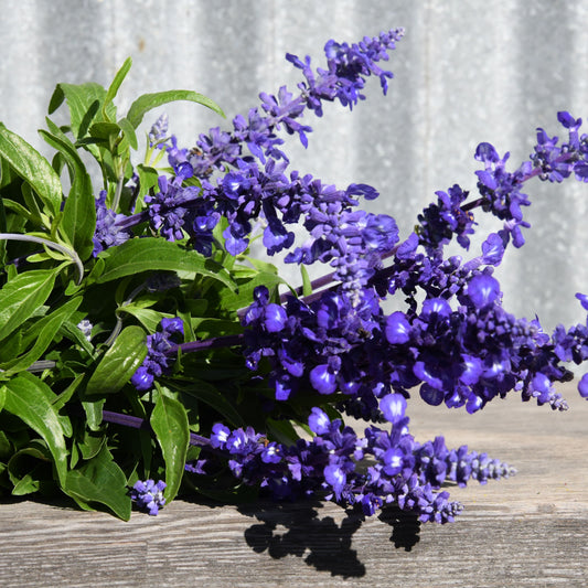 Bouquet of purple flowers and green leaves on a wooden surface with a metal wall background