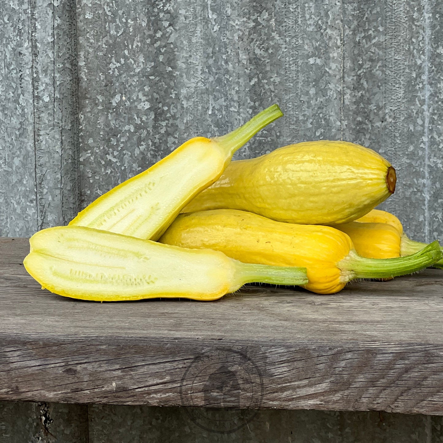 Zucchini 'Success PM Straightneck'