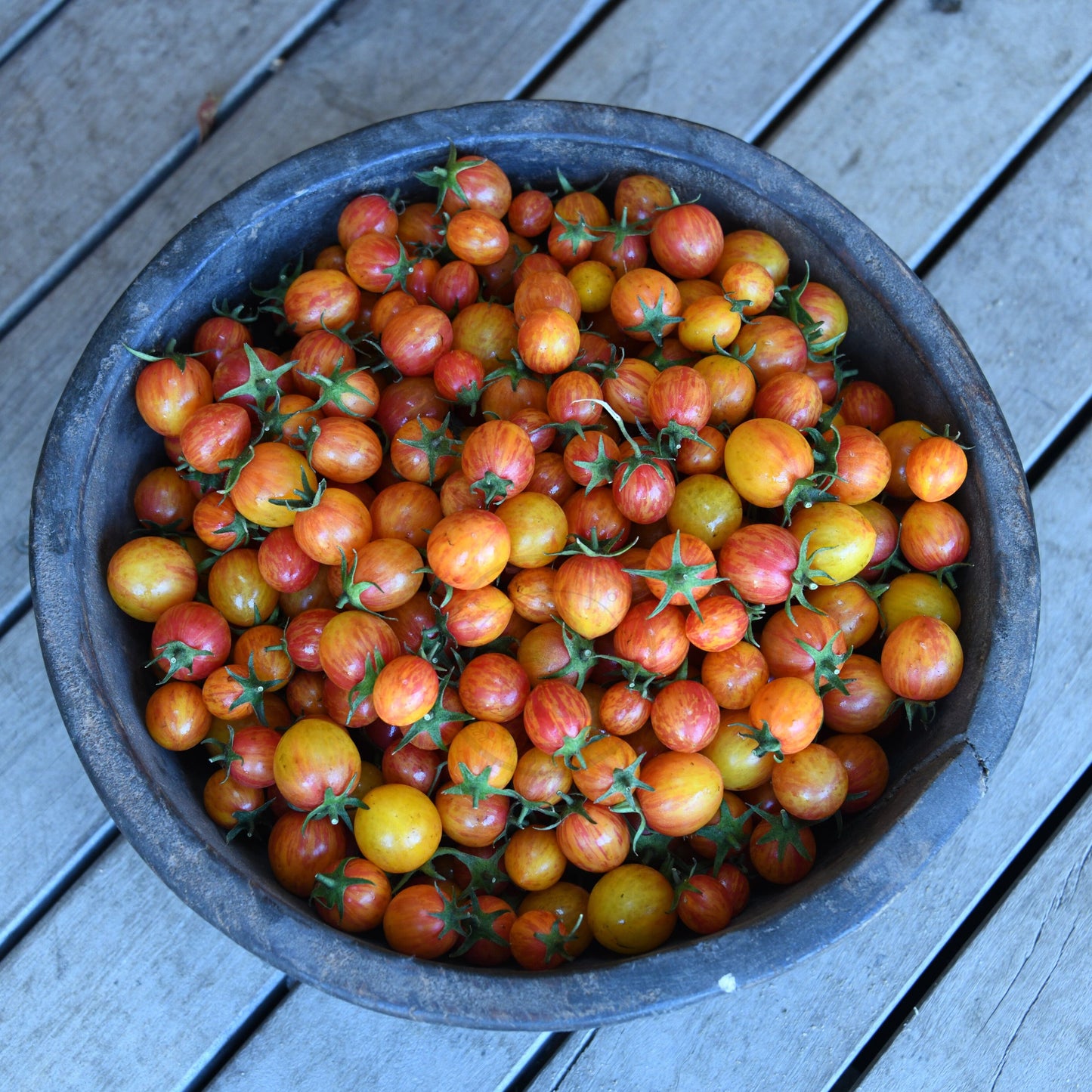 cherry tomatoes in wooden bowl