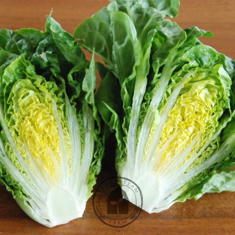 Two halves of a green lettuce on a wooden surface