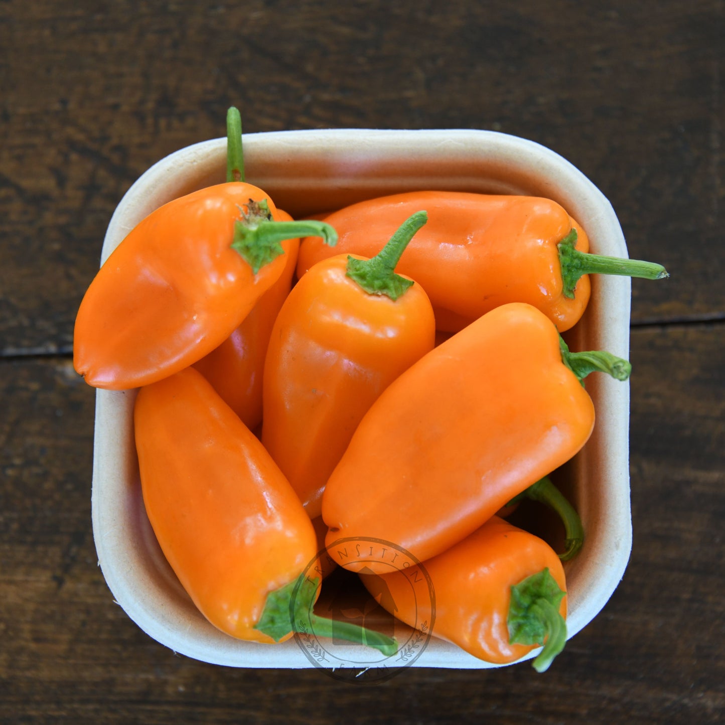 Capsicum 'Sweet Mini Orange'
