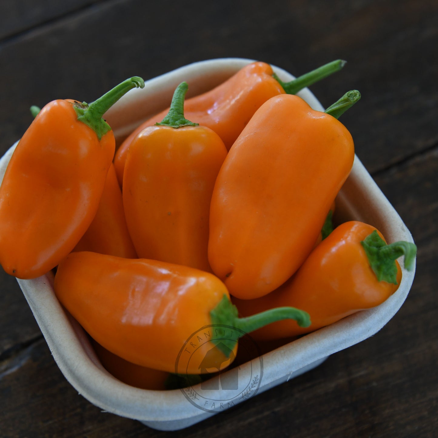 Capsicum 'Sweet Mini Orange'