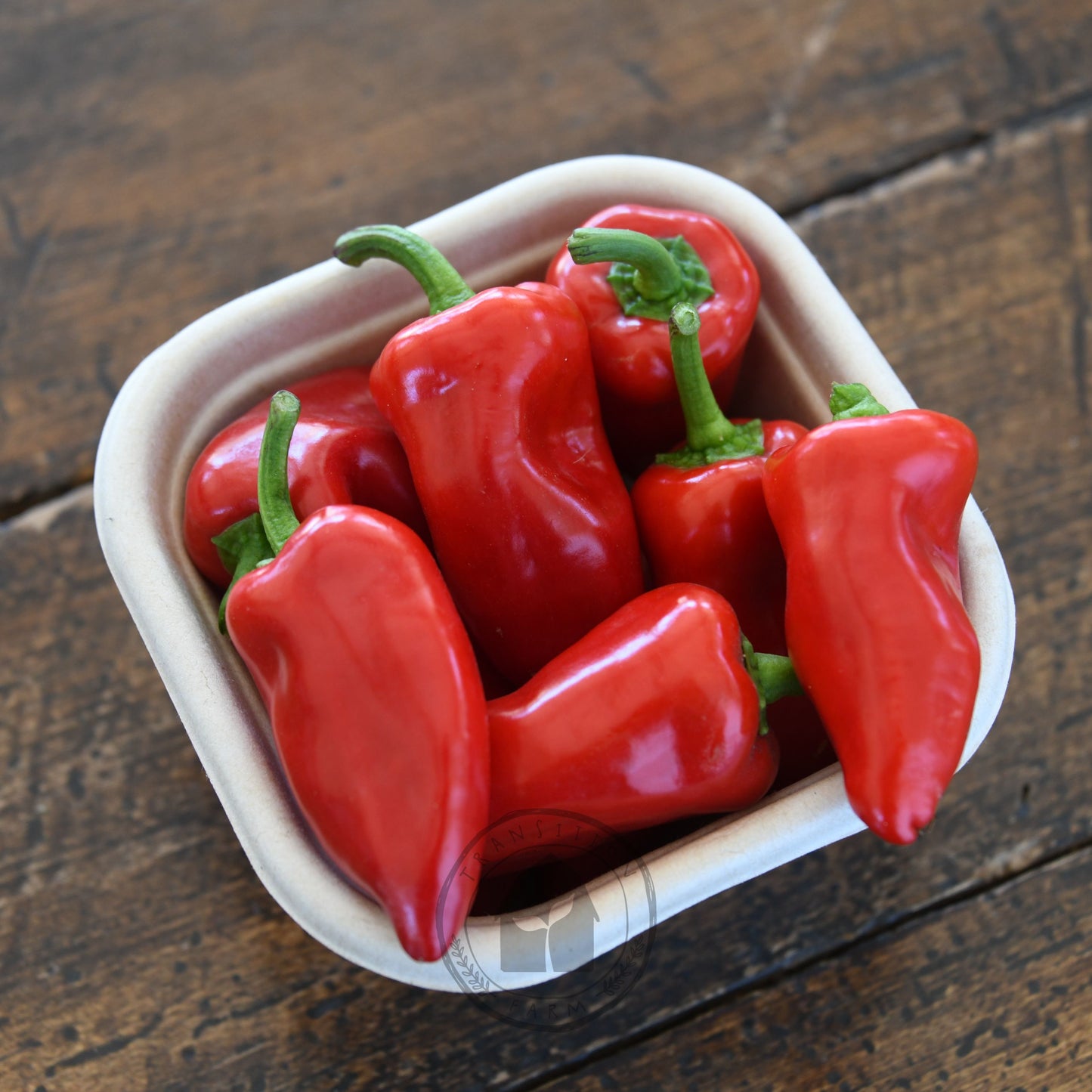 Capsicum 'Sweet Mini Red'