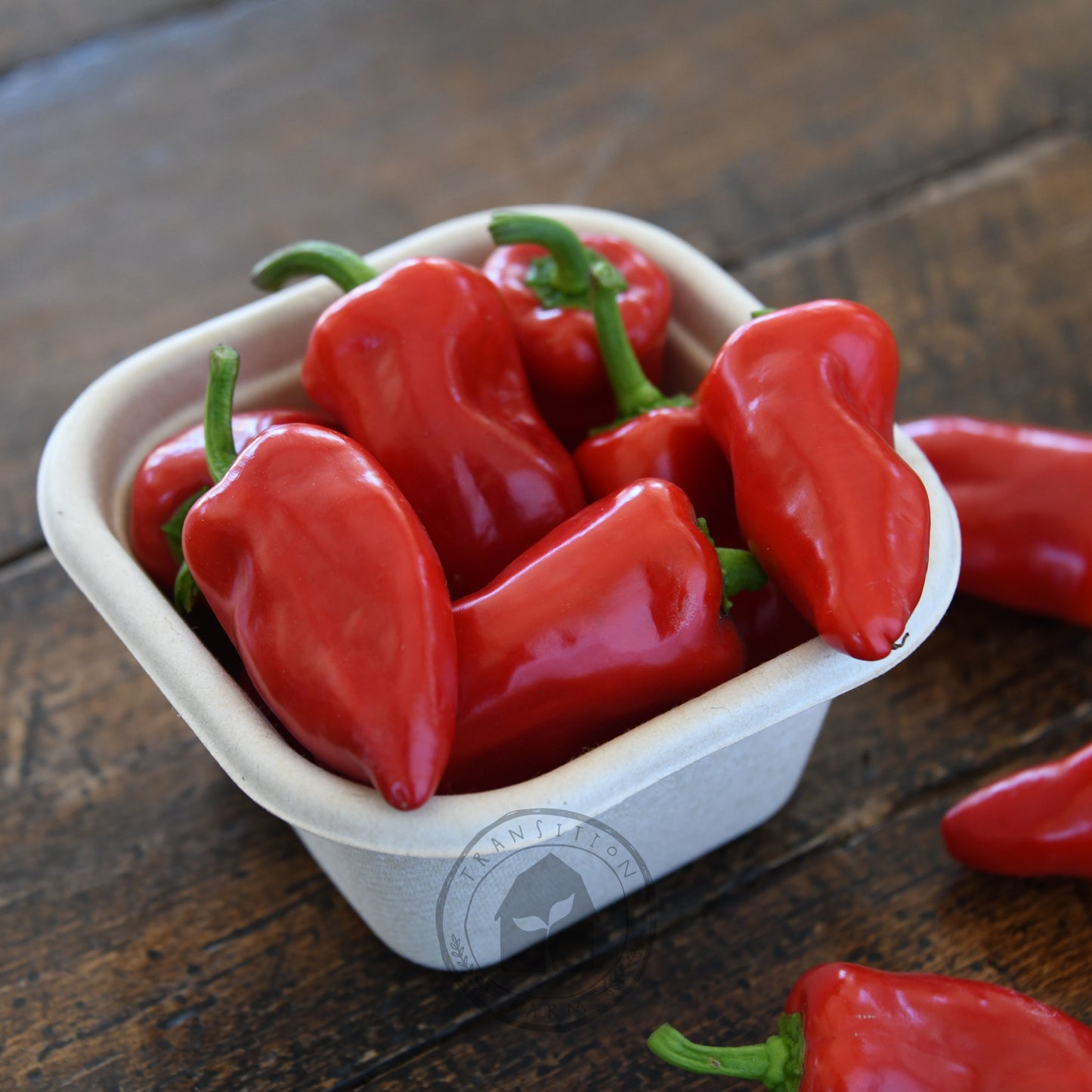 Capsicum 'Sweet Mini Red'