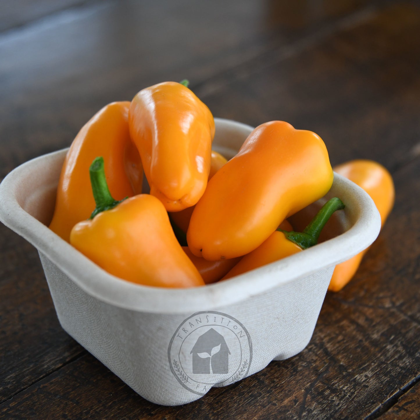 Capsicum 'Sweet Mini Yellow'