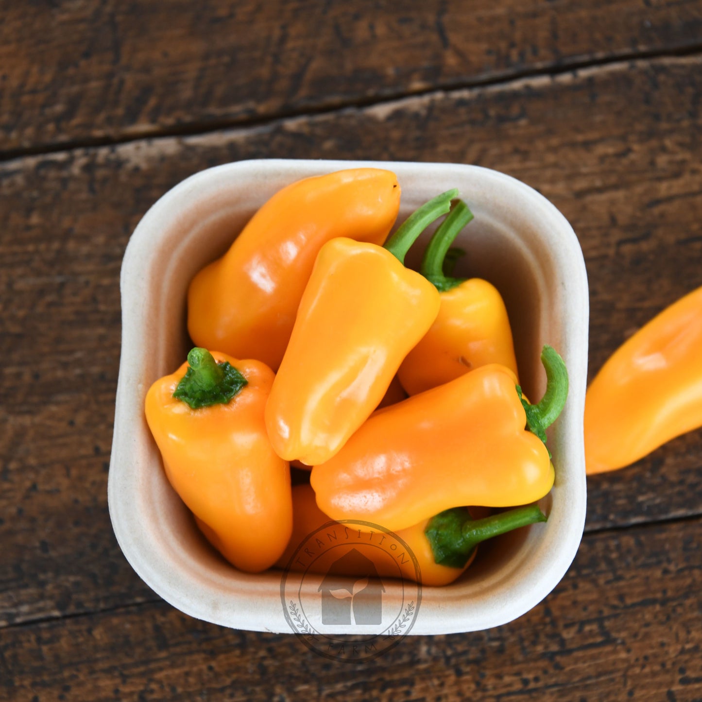 Capsicum 'Sweet Mini Yellow'