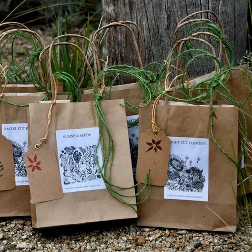 Gem Lettuce Collection