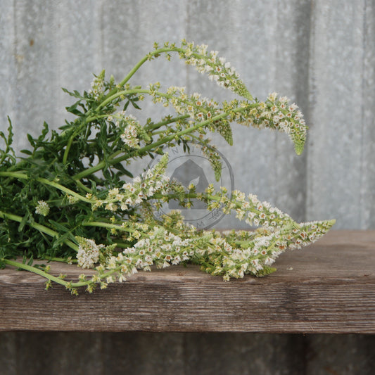 Bouquet of white flowers and green leaves on a wooden surface with a metallic background
