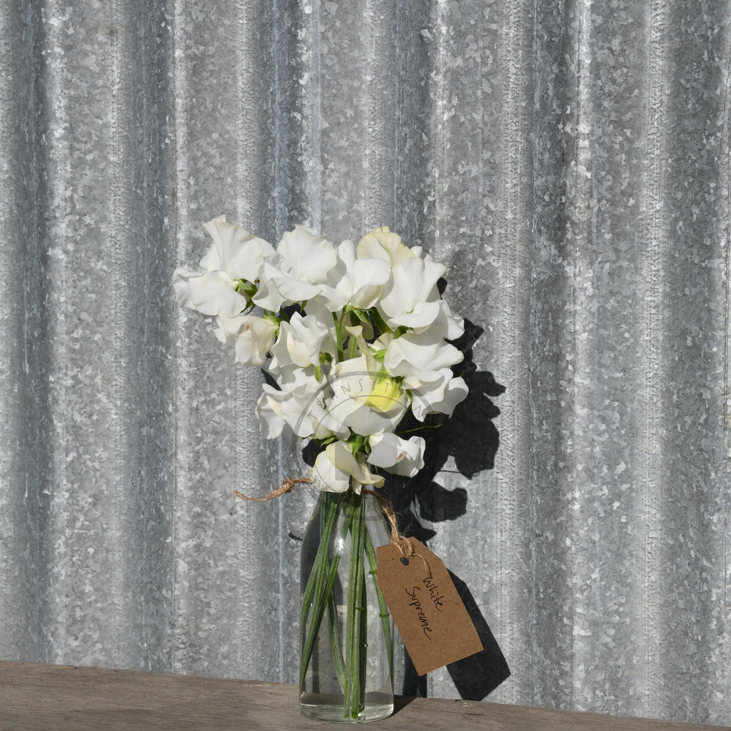 Vase of white flowers with a tag on a wooden surface against a corrugated metal background